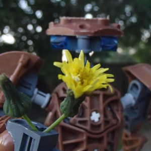 A brown Bionicle observing a budding dandelion in its hand.