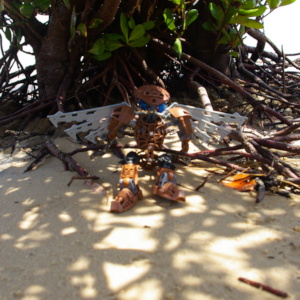 Shot of a brown Bioncile with robotic wings sitting in the shady sand of an oceanside bush.