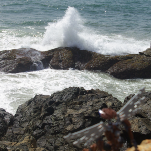 A brown Bionicle with robotic wings perched on a high coastal rock watching waves crash into the jagged stones below.